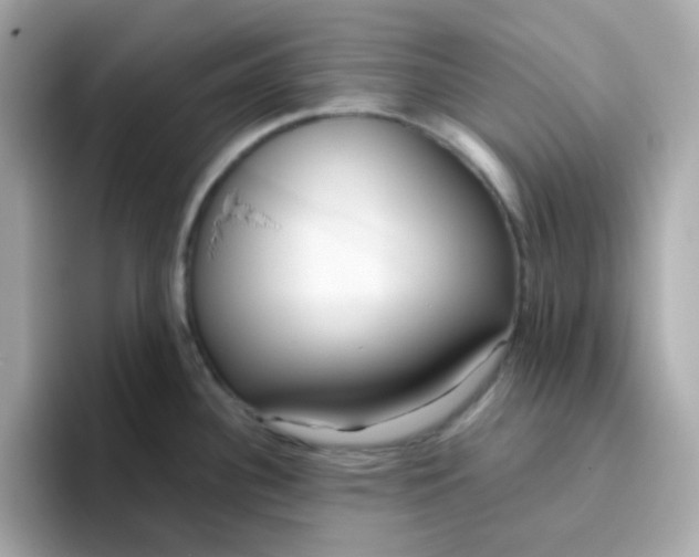 X0000096461340200802141524