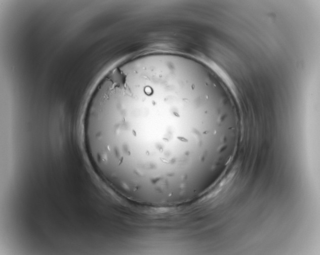 X0000096461341200802141524