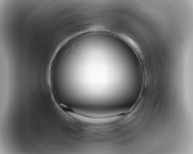 X0000096461342200802141524