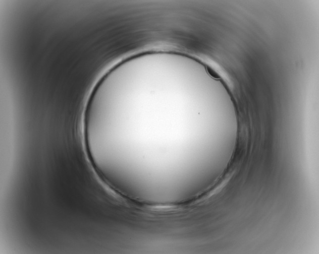 X0000096461343200802141524