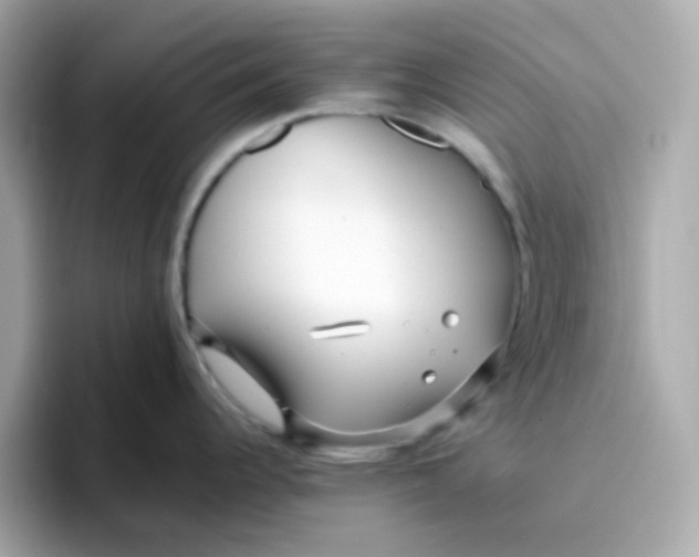 X0000096461344200802141524