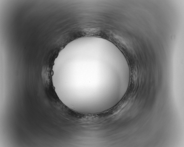 X0000096461346200802141524
