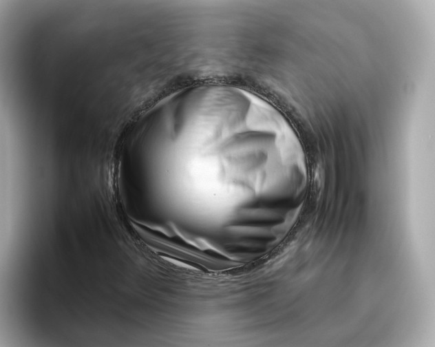 X0000096461348200802141524
