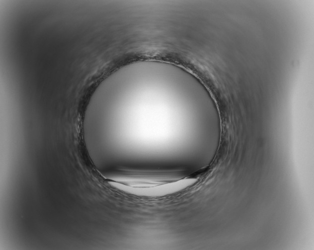 X0000096461349200802141524