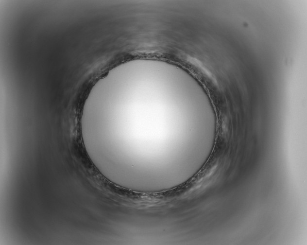 X0000096461350200802141524