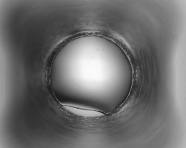 X0000096461352200802141524