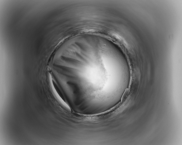 X0000096461353200802141524