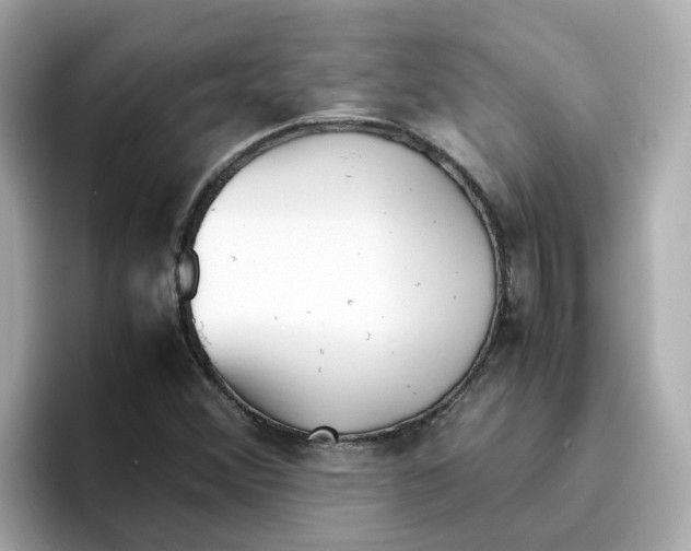 X0000096461356200802141524