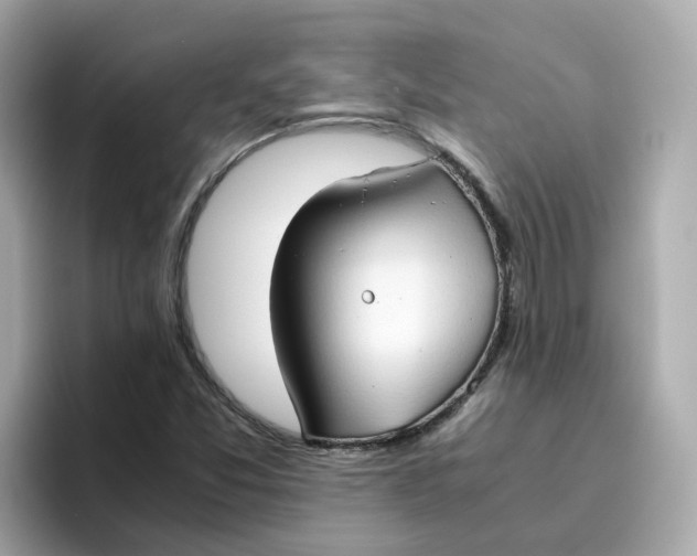 X0000096461357200802141524