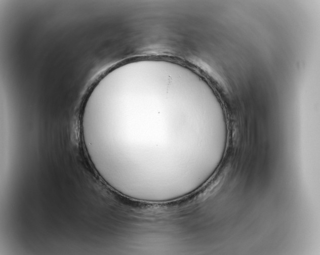 X0000096461358200802141524