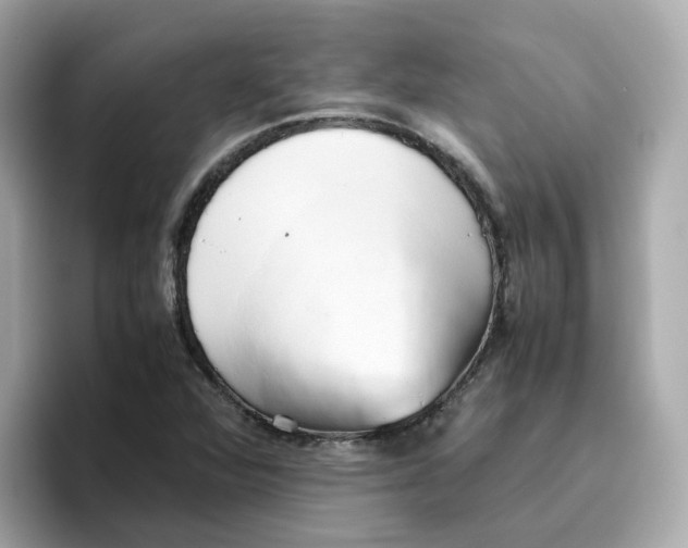 X0000096461360200802141524