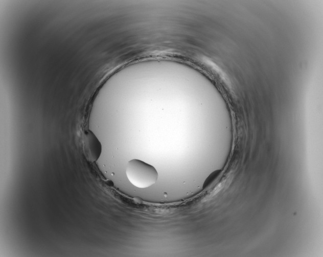 X0000096461361200802141524