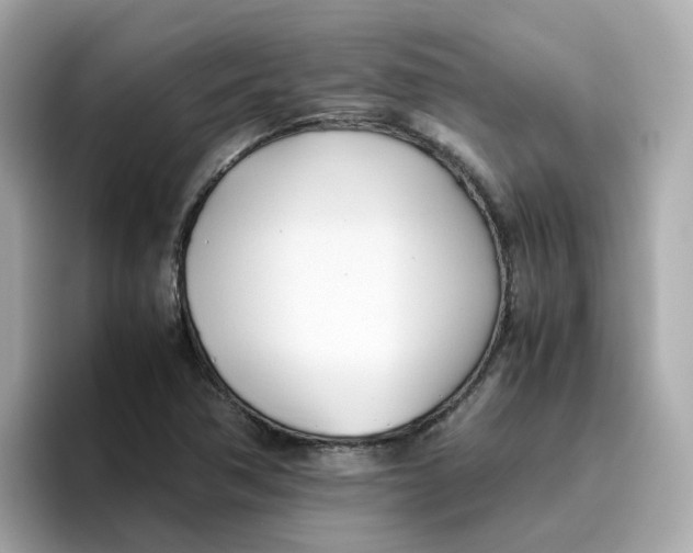 X0000096461362200802141524