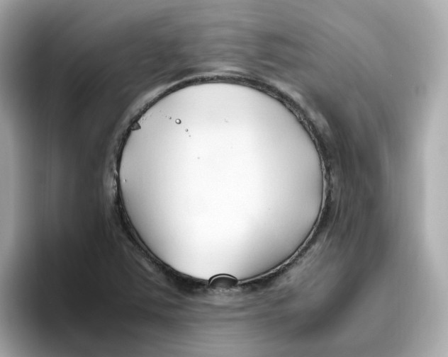 X0000096461363200802141524