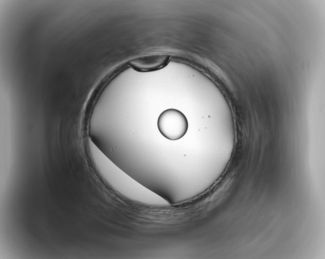 X0000096461364200802141524