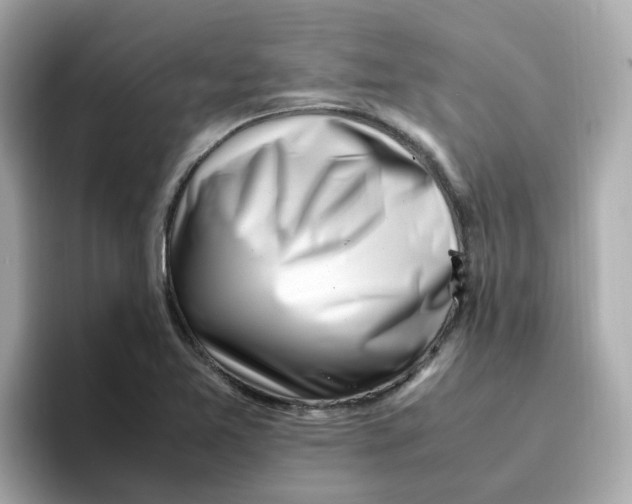 X0000096461365200802141524