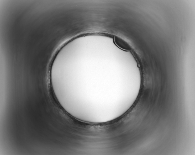 X0000096461366200802141524