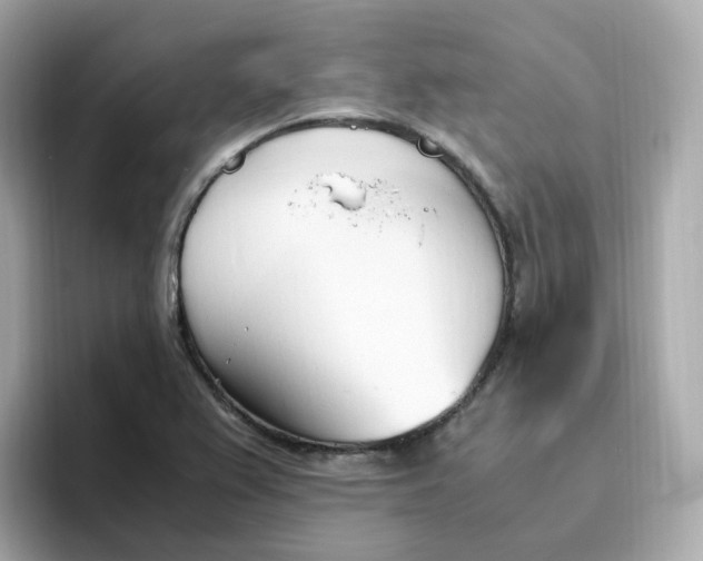 X0000096461367200802141524