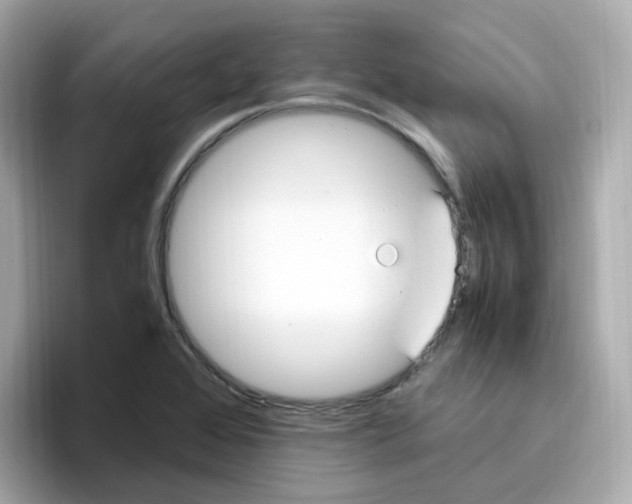 X0000096461368200802141524