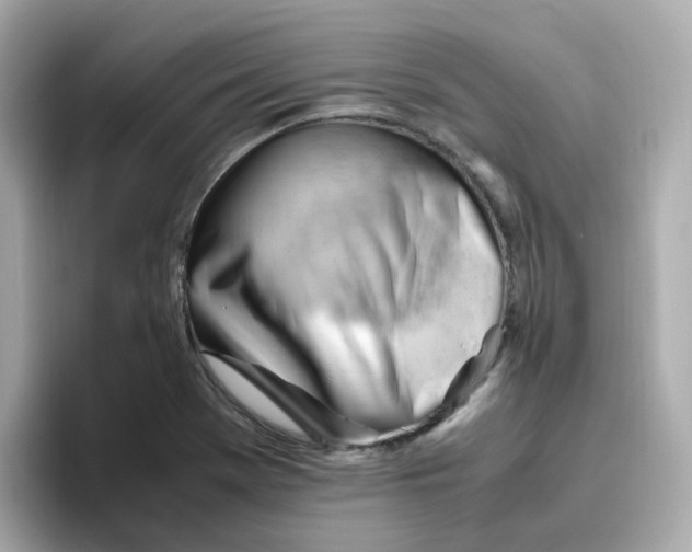 X0000096461369200802141524