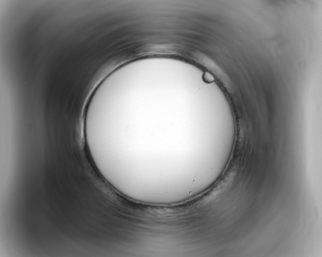 X0000096461370200802141524