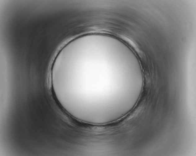 X0000096461371200802141524