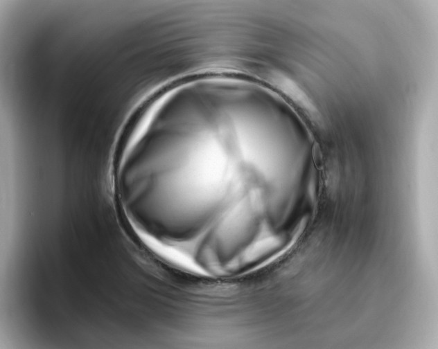 X0000096461372200802141524