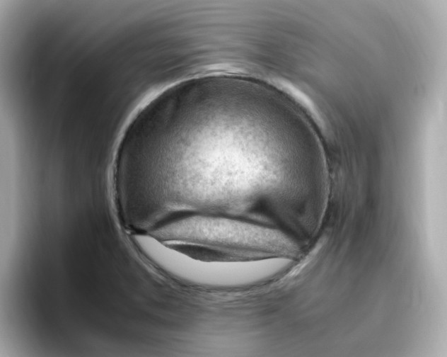 X0000096461373200802141523