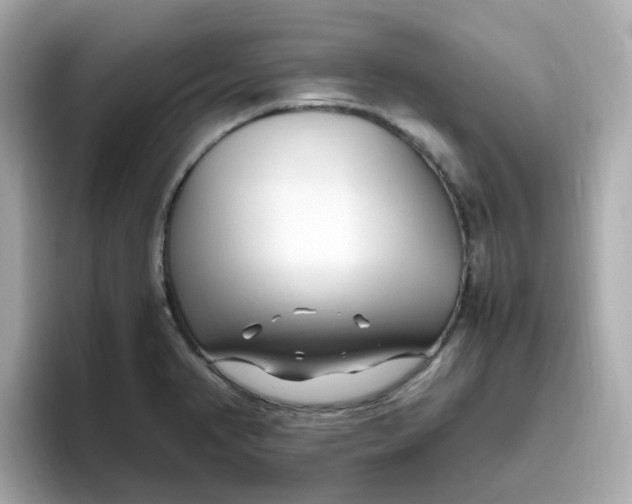 X0000096461374200802141523