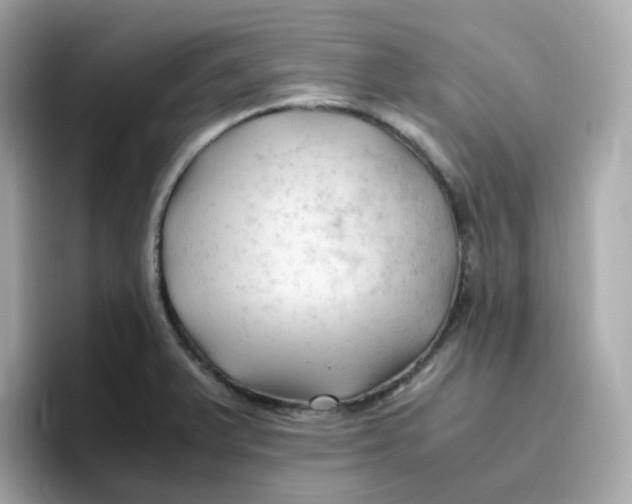 X0000096461375200802141523