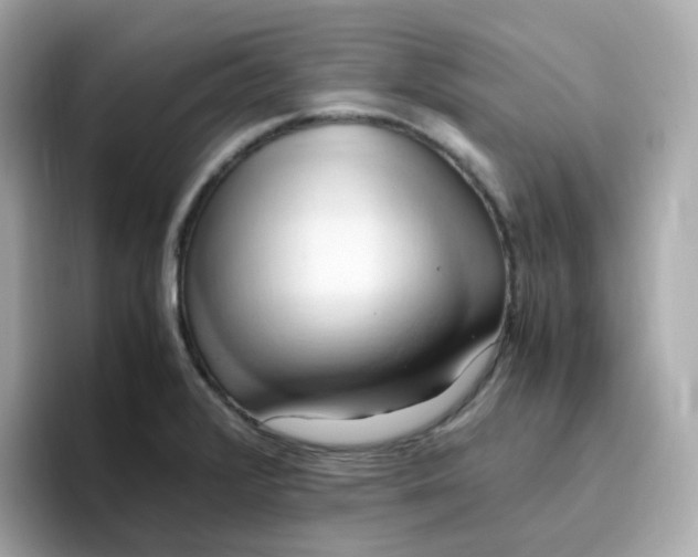 X0000096461376200802141523