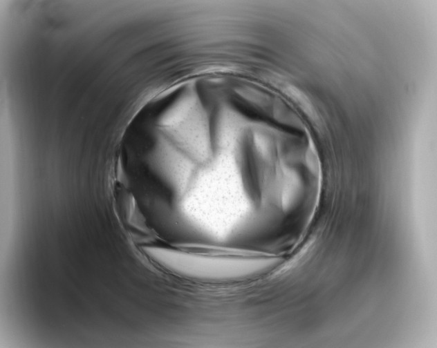 X0000096461377200802141523
