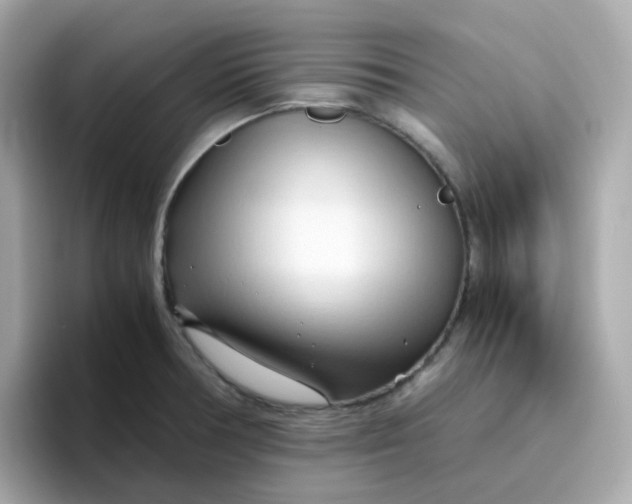 X0000096461378200802141523