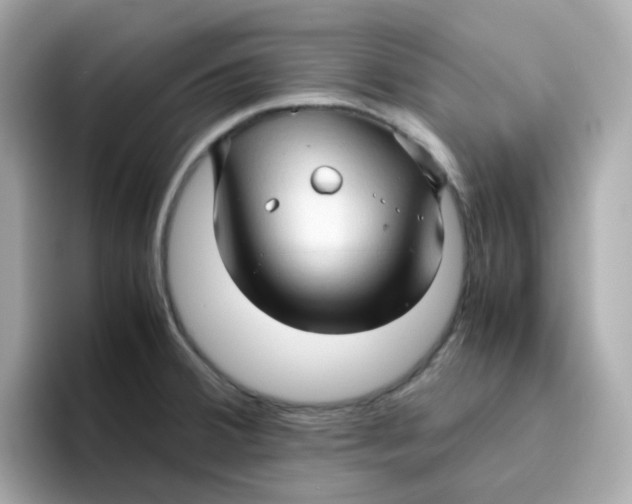 X0000096461380200802141523