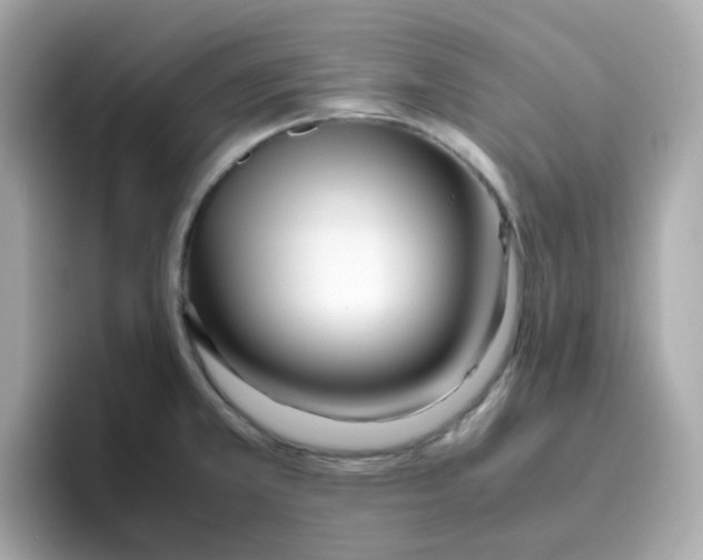 X0000096461381200802141523