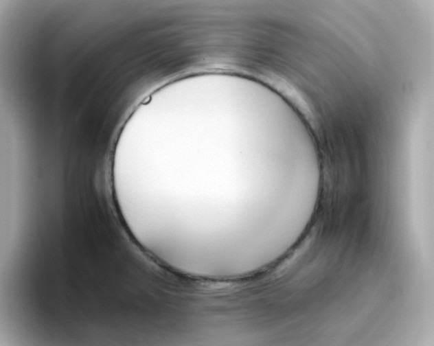 X0000096461382200802141523