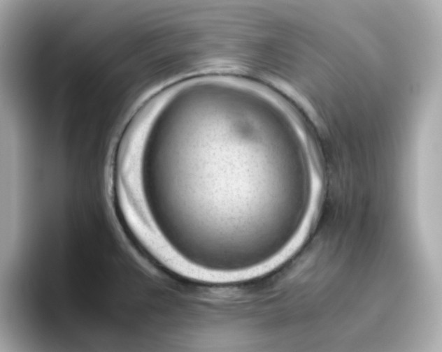 X0000096461383200802141523