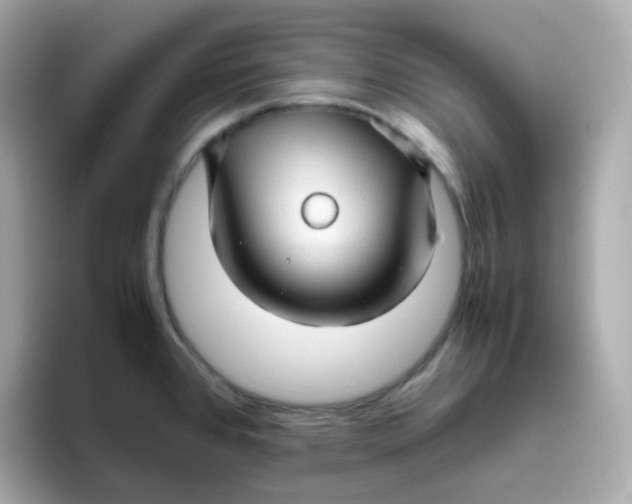 X0000096461384200802141523