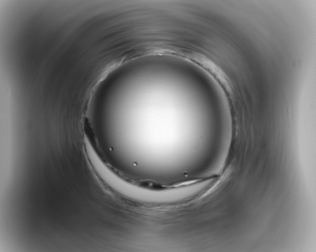 X0000096461385200802141523