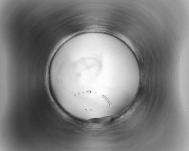 X0000096461387200802141523