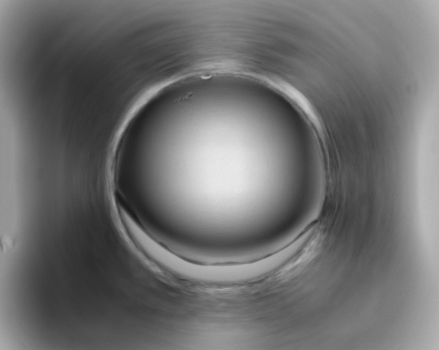 X0000096461389200802141523