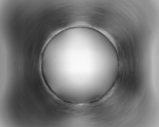 X0000096461390200802141523