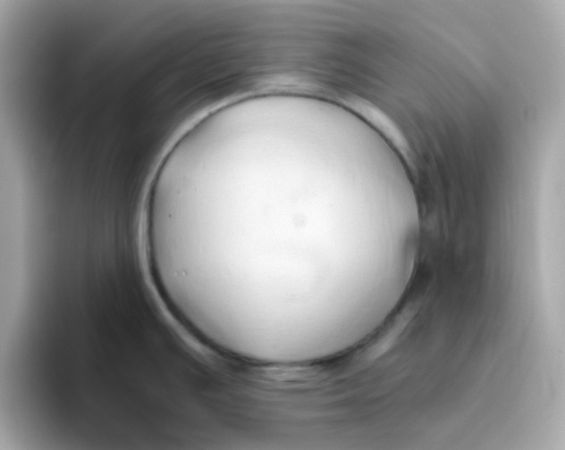 X0000096461391200802141523