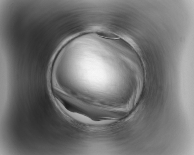X0000096461392200802141523