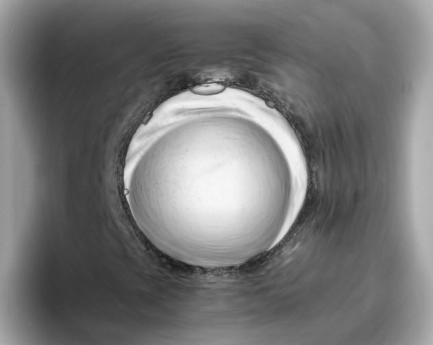 X0000096461393200802141523