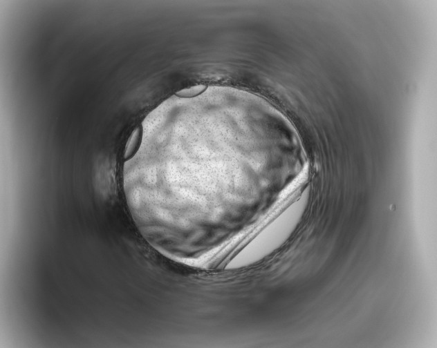 X0000096461394200802141523