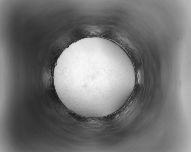 X0000096461395200802141523
