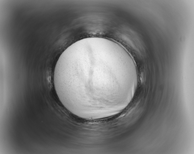 X0000096461396200802141523