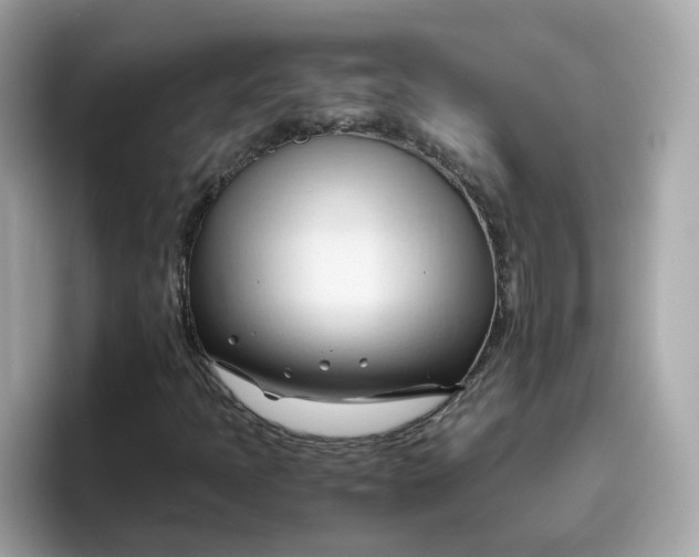 X0000096461397200802141523
