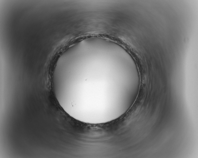 X0000096461398200802141523